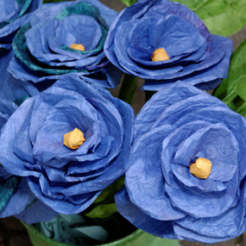 Szigetközi Szatyor - Ragyogj KÉKEN! (Fotó: Horváth Attila)