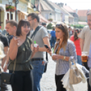  Pannonia-Carnuntum Old-Timer Rallye (Fotó: Nagy Mária)