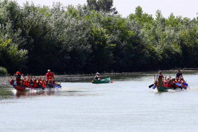 Voluta 3. nap (Fotó: Stipkovits Veronika és Bánhegyi István)