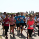 XV. Greiner Szigetköz Félmaraton