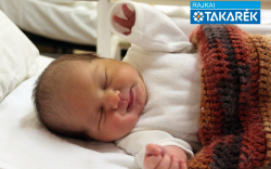 Szaszák Lilien, Mosonmagyaróvár