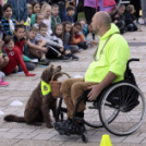 XII. Elfogadás napja Mosonmagyaróvár