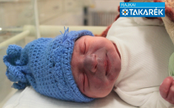 Tóth Anna, Mosonmagyaróvár