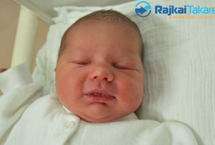 Süly Gergő, 3600 gr. Halászi