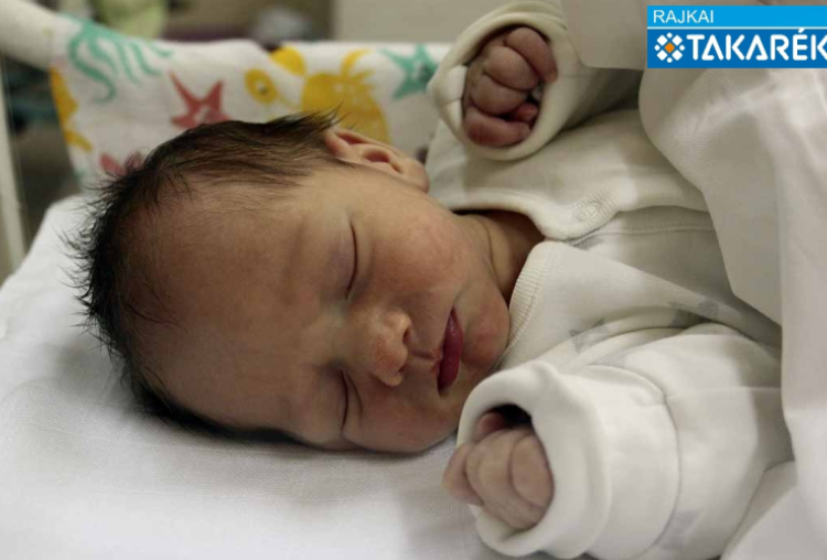 Hok Gergő, Mosonmagyaróvár