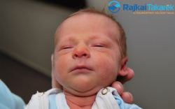 Csepei Hunor, 2920 gr. Mosonmagyaróvár