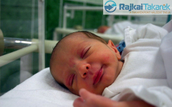 Németh Gergely István, Dunasziget