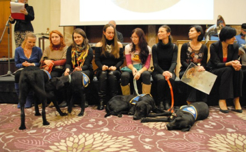 SEGÍTS, HOGY SEGÍTHESSÜNK A GOLDEN TRIANGELBEN! 