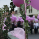 Egészség Hídja Összefogás - Lajtahidi séta