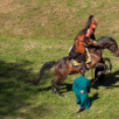 XII. Szigetköz ízei, Vármegye borai Fesztivál 2. nap