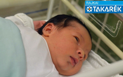 Sztojka Zoltán, Mosonmagyaróvár