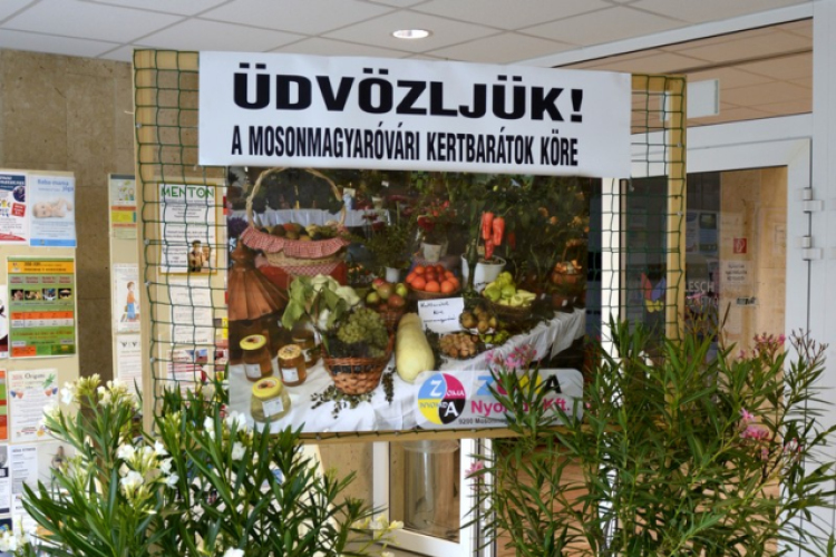 Termény- és virágkiállítás 