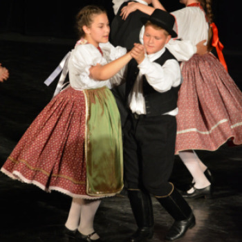 Nyárcsalogató (Fotó: Nagy Mária)