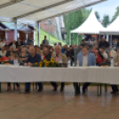 Szigetköz ízei, Vármegye borai Fesztivál (vasárnap) (Fotó: Horváth Attila)