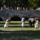 XI. Szigetköz ízei, Vármegye borai Fesztivál 2. nap Várárok