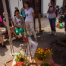 Apró Kezek, Csodakertek