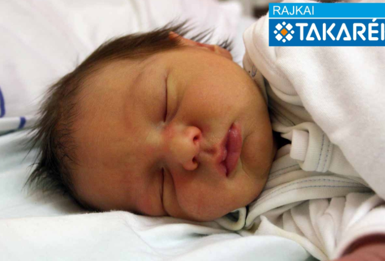 Varga-Zölderdő Noel, Halászi