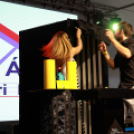 XI. Szigetköz ízei, Vármegye borai Fesztivál 3. nap