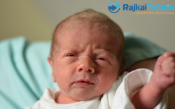 Gulyás Bence Gábor, 2500 gr. Móvár