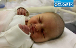 Bertalan Flóra, Mosonmagyaróvár