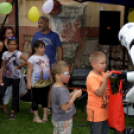 Mosonmagyaróvári Jótékonysági Családi Nap