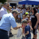 VII. Apró kezek, csodakertek Gyermek Kertépítő verseny