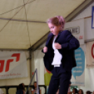 Szigetköz ízei, vármegye borai fesztivál / VÁRMEGYE SZÉPE - VÁRMEGYE HANGJA (Fotó: Horváth Attila)