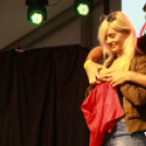 XI. Szigetköz ízei, Vármegye borai Fesztivál 3. nap