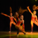 Ünnepi gálaműsor a tánc világnapja tiszteletére - Szigeti Gábor táncpedagógus emlékére