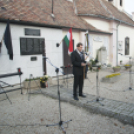 1956-os városi Megemlékezések és Gyásznap /Mosonmagyaróvár/