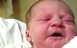 Takács Jázmin-Mecsér