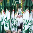  Városi Majális 2017 