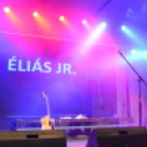 XI.Szigetköz ízei, Vármegye borai Fesztivál 1. nap