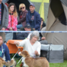 CAC kutyakiállítás (Fotó: Nagy Mária)