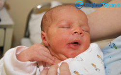 Finta Dániel, 3480 gr. Mosonszentmiklós