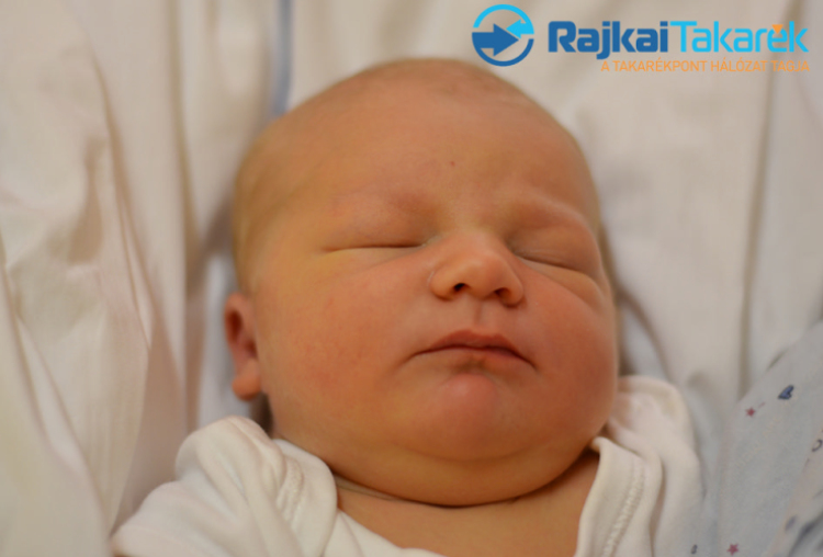 Fodor Linda Éva, Mosonmagyaróvár