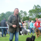 CAC kutyakiállítás (Fotó: Nagy Mária)