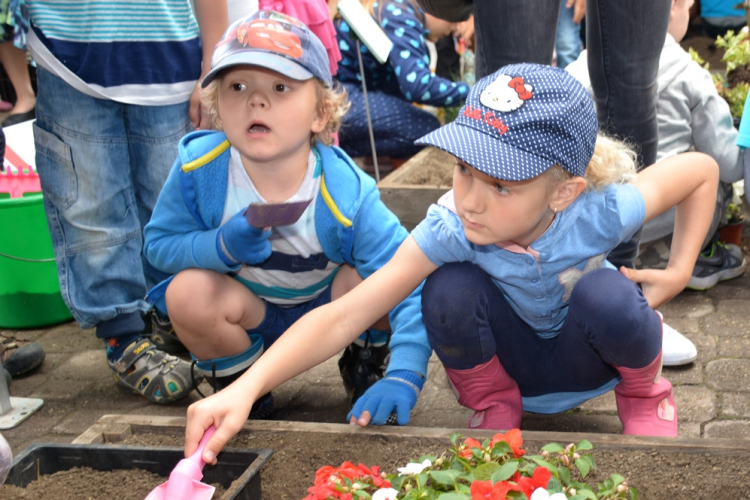 VI. Apró kezek, Csodakertek Gyermek Kertépítő verseny (Fotó: Bánhegyi István)