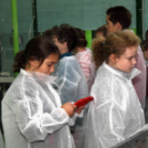 Kőrisfacsemetéket ültettek a diákok a Nolato Magyarország Kft telephelyén