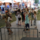 XII. Szigetköz ízei, Vármegye borai Fesztivál 3. nap