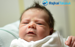 Németh Mia, Dunasziget