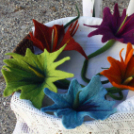 II. Szigetközi Gyógynövénynapok (Fotó: Stipkovits Veronika)