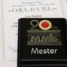 Moson Modell Show (Fotó: Stipkovits Veronika, Bánhegyi István)