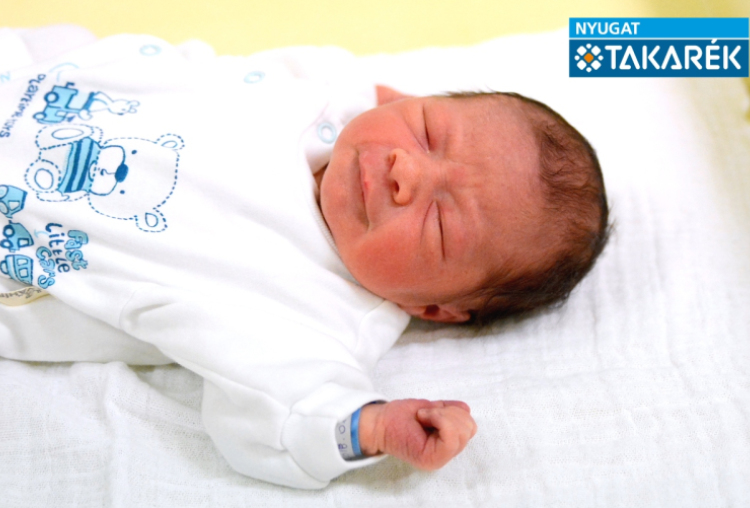 Szaiff Richárd, Osli