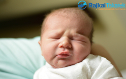 Neuberger Bence, 3860 gr. Darnózseli