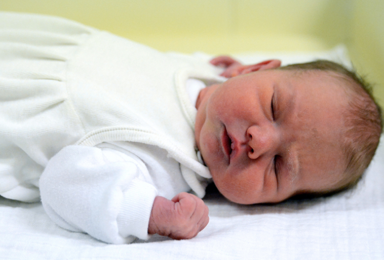 Glaser Timót, Dunasziget