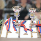 8. Tavaszköszöntő - Idén is megrendezték a Nők a Városért egyesület a hagyományos Tavaszköszöntőjét. 