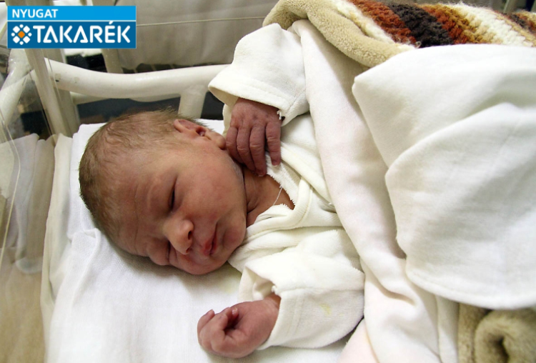 Kiss Csongor, Fertőszentmiklós