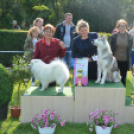 CAC kutyakiállítás (Fotó: Nagy Mária)