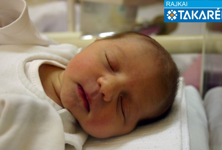 Lovas Rozi, Mosonmagyaróvár